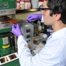 Manufacturing Microelectronic Device for CMC December 2012