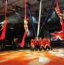 Aerialists at the British Show