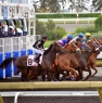 "They're Off" at the Destiny Solutions Track side Party for Employees Sept 2014