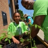 Planting at the Telus Day of Giving May 2014
