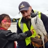 Young Fan Pets a Falcon at the GTAA Streetfest Sept 2014